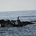 Ξενοδοχείο Kalima 2*